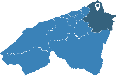بن سليمان