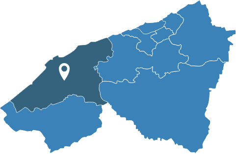 الجديدة